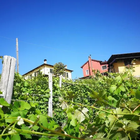 Tenuta Monteoliveto - Family - Nelle Langhe * Vesime